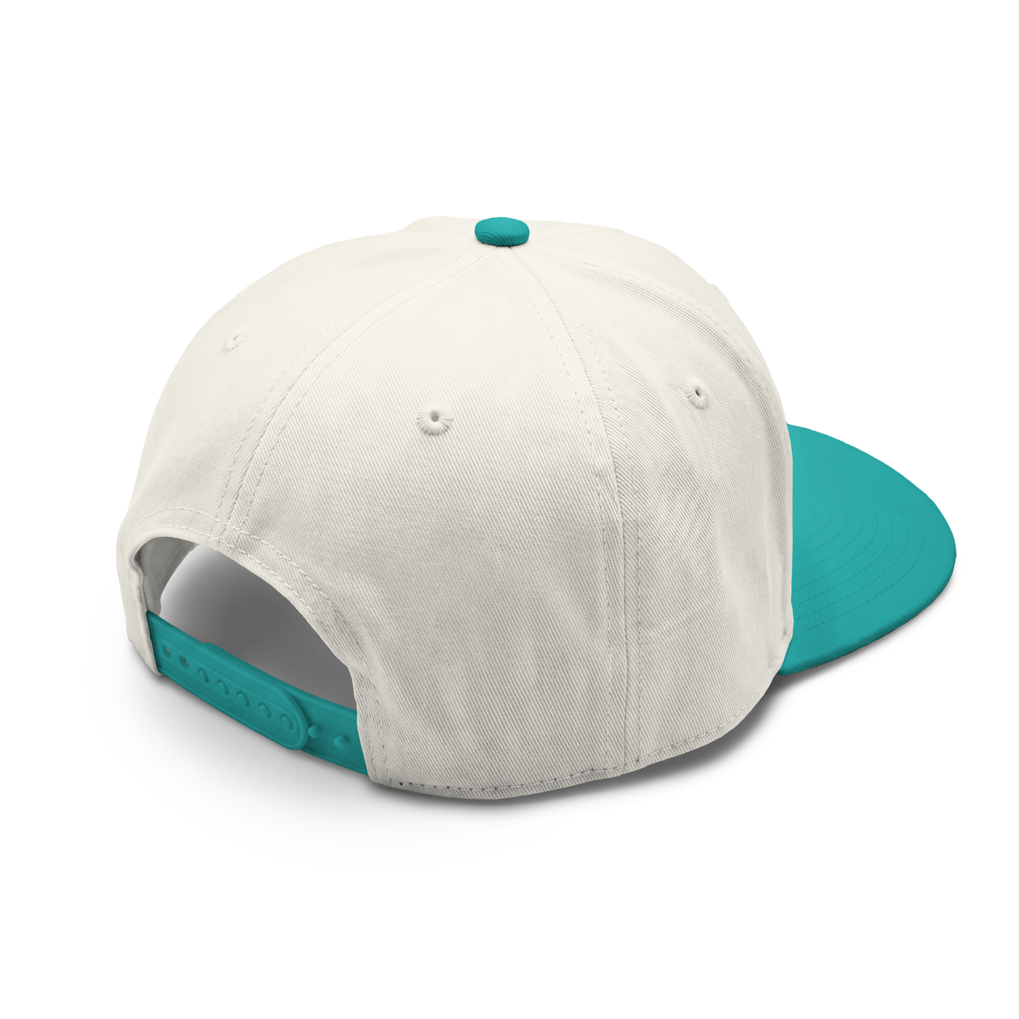 class-two-tone-cap-natural-charlotte-back