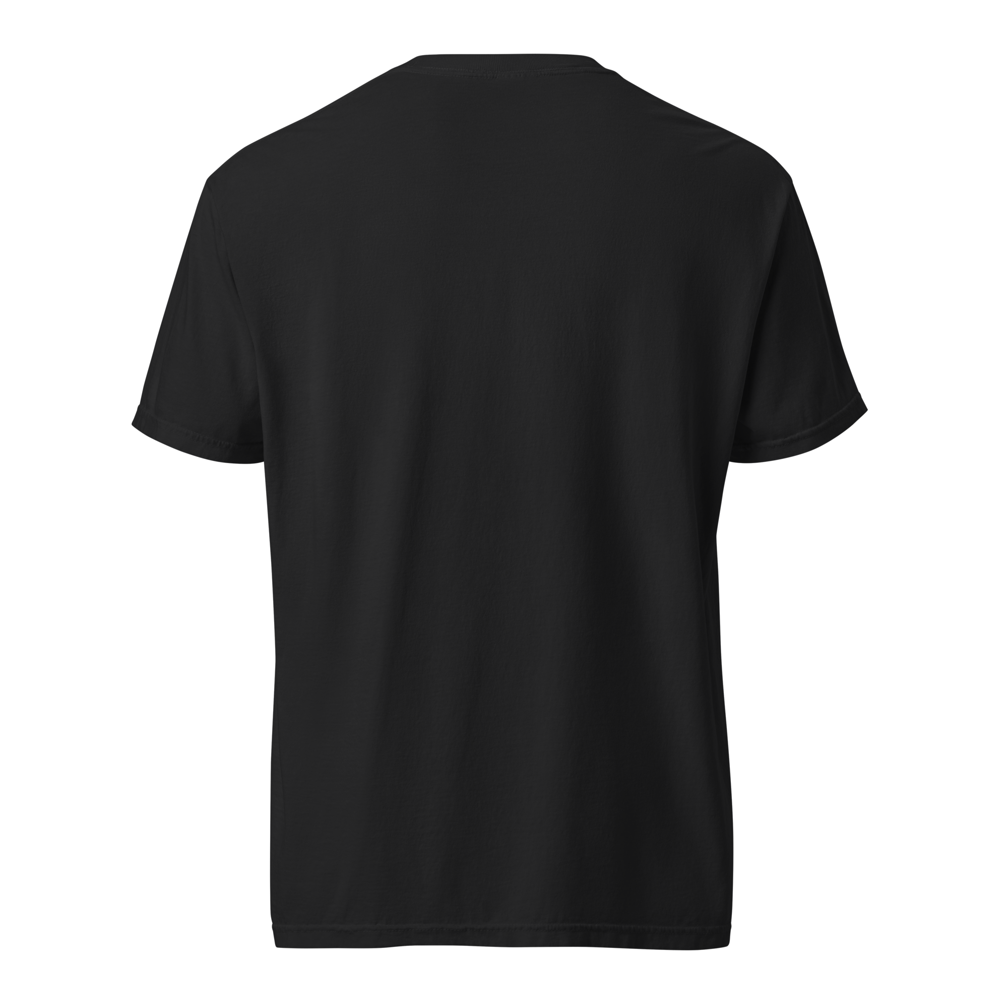 unisex-garment-dyed-heavyweight-t-shirt-black-back