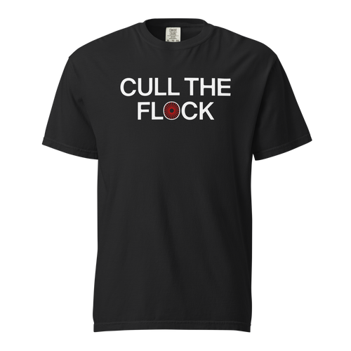 unisex-garment-dyed-heavyweight-t-shirt-black-front