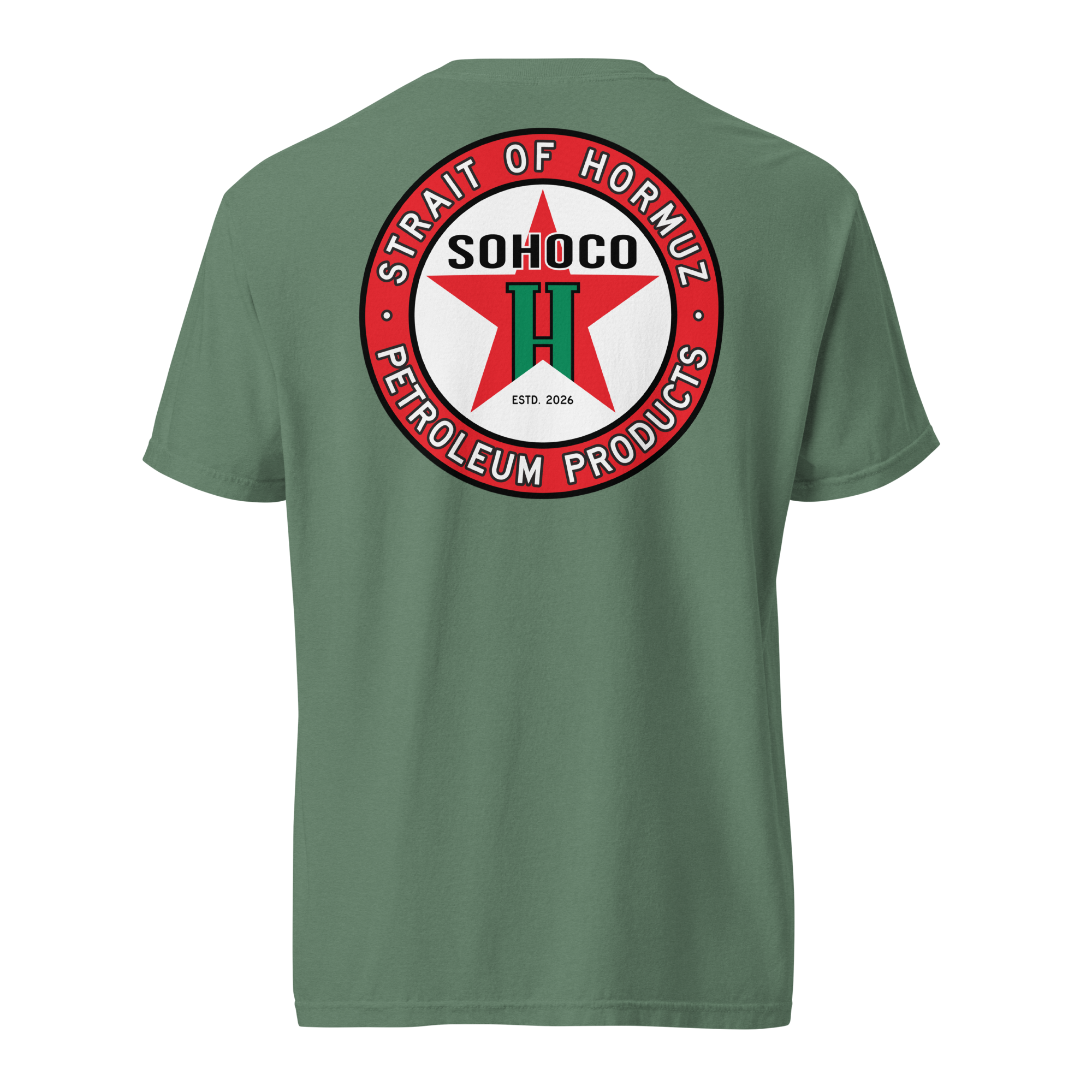 unisex-garment-dyed-heavyweight-t-shirt-light-green-back